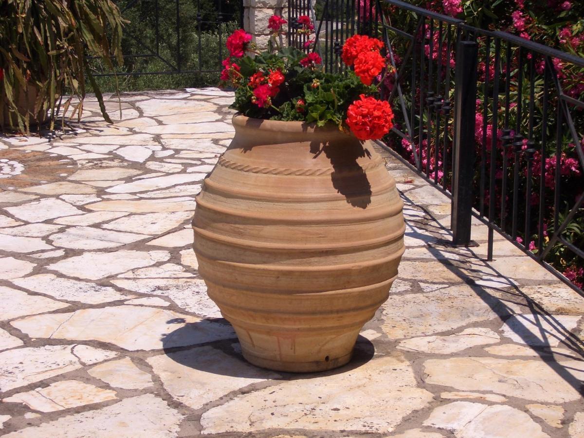 Villa Bacchus Kassiopi Corfu Εξωτερικό φωτογραφία